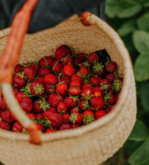 We care about the origins of all our ingredients. Discover with us.
